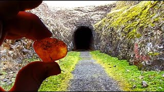 McNary Dam Railroad Tunnel Washington State [upl. by Shieh]