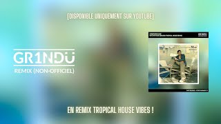 Christophe Maé  On Sattache GR1NDU Tropical House Remix [upl. by Irtemed923]