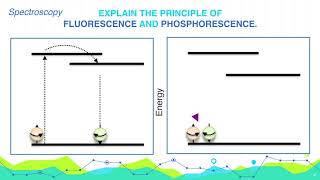 Explain the principle of Fluorescence and Phosphorescence  Analytical Chemistry [upl. by Sergio]