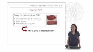 Carnes PSE y DFD   UPV [upl. by Erma]