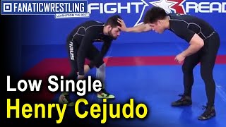 Henry Cejudo Wrestling Techniques  Low Single [upl. by Onyx180]