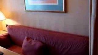 Zaandam Verandah Suite Stateroom Tour [upl. by Yerag]