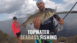 Topwater Seabass Fishing [upl. by Felic649]