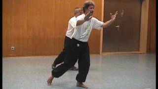 Tai Chi Berlin kassenanerkannt DVD 1 [upl. by Acemaj170]