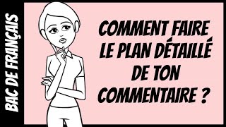 Comment faire le plan détaillé de ton commentaire [upl. by Denbrook802]