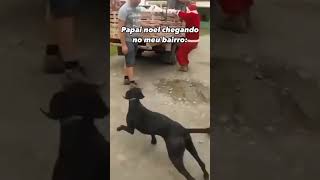 Papai Noel Tentando Entrar Pela Chaminé KKkk🤣🎅 short memes feliznatal2024 [upl. by Anidene719]