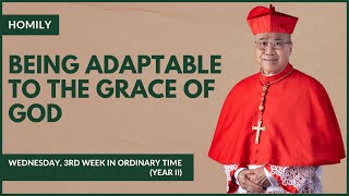 Being Adaptable To The Grace Of God  William Cardinal Goh Homily  24 Jan 2024 [upl. by Greenland]