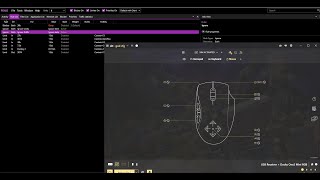 AIM ASSIST ON MnK  Destiny 2 REWASD BEST SETTINGS FREE XIM CONFIG [upl. by Shem]