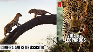 A Vida dos Leopardos  Trama Oficial [upl. by Teerpnam]