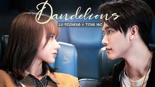 FMV Falling Into Your Smile ➤ Sicheng 𝖝 Tong Yao↬Dandelions FMV [upl. by Aihsoj984]