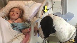 This Dog Walks Up to a Sick Girl and Does Something That Will Melt Your Hearts [upl. by Sidoma]