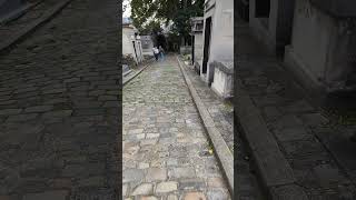 ASMR walk in Graveyard  Headstone Crow cry Cimetière de Montmartre Montmartre Cemetery S6139✝️ [upl. by Ttoile286]