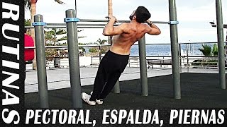 3 Rutinas para Cada Grupo Muscular  Pectoral y Tríceps Espalda y Bíceps Pierna [upl. by Kcirddes]