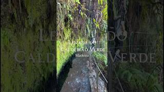 Levada do Calderão Verde Hike in Madeira Portugal 🇵🇹 madeira hikingadventures ng [upl. by Ahsinna]