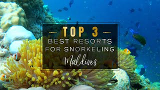 SNORKELING IN THE MALDIVES 2022 🐠🦈 The 3 Best Resorts with INSANE House Reefs to Snorkel 4K UHD [upl. by Slin]