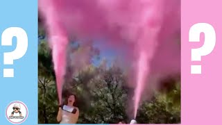 10 Creative Gender Reveal Ideas 2021 [upl. by Anitap]