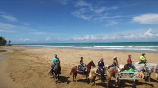 HORSEBACK RIDING  Carabalí Rainforest Adventure Park [upl. by Niliram]