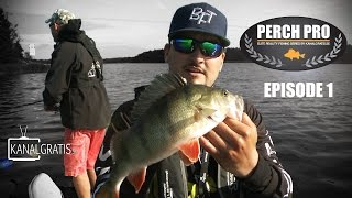 Perch Pro  EPISODE 1  The Next Level of Perch Fishing  Kanalgratisse [upl. by Raclima]