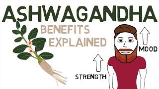 ASHWAGANDHA BENEFITS What Ashwagandha Is And How It Works [upl. by Fidelity]