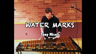 Vibraphone Solo  quotWater Marksquot by Tony Miceli performed by Benjamin Holmes [upl. by Ateikan]