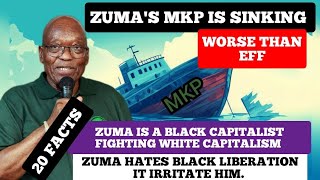 20 FACTS SHOWING JACOB ZAMAS MKP IS SINKING WORSE THAN EFF LED BY MALEMA ZUMA HATE BLACK PEOPLE [upl. by Elmaleh]