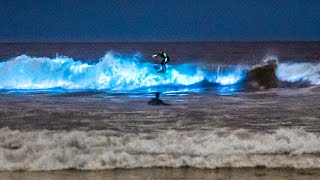 Unbelievable Bioluminescent Beach California [upl. by Beebe]