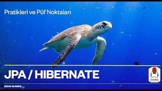 Hibernate Pratikleri ve Püf Noktaları [upl. by Jori]