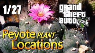 GTA 5  Peyote Plant Locations 0127 [upl. by Day]