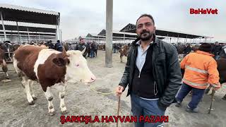 17 Şubat 2024 Şarkışla Hayvan Pazarı Vet Hekim Bahadır EKREN [upl. by Cordula926]