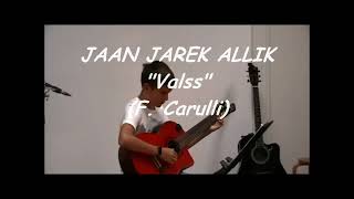 Jaan Jarek  Valss F Carulli [upl. by Nyrraf]