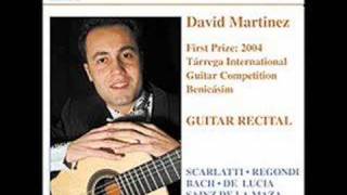 David Martinez guitar [upl. by Trawets]