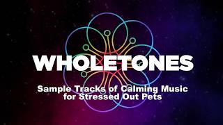 Calming Music for Stressed Out Pets  Song Samples [upl. by Wylie899]