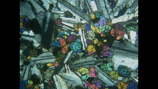 Thin section 3 [upl. by Megen]