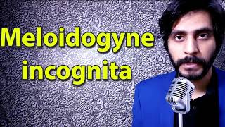 How To Pronounce Meloidogyne incognita [upl. by Noirret]