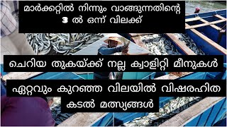 ഏറ്റവും കുറഞ്ഞ വിലയിൽ ഫ്രഷ് ആയ വിഷമില്ലാത്ത കടൽ മത്സ്യങ്ങൾ ലൈവായി കണ്ട് വാങ്ങാം വേണേൽ വാങ്ങിവിൽക്കാം [upl. by Scott]