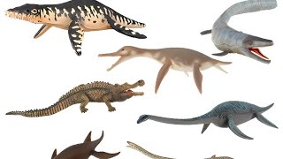 All Collecta Sea dinosaurs part 1 [upl. by Wait]