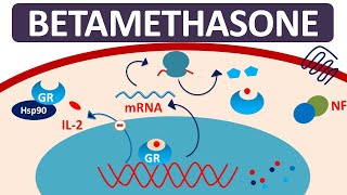 Betamethasone  Mechanism precautions side effects amp uses [upl. by Eidnalem]