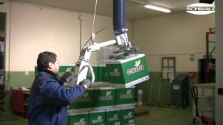 Vacuum Tube Lifter JumboErgo for Commissioning of Cardboard Boxes in the Chemical Industry  Schmalz [upl. by Lledo]