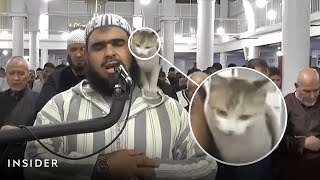 A Cat Joins A Ramadan Prayer As Muslims Celebrate The Holy Month  Insider News [upl. by Bashemeth211]