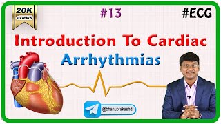 13 Introduction To Cardiac Arrhythmias  ECG assessment and ECG interpretation made easy [upl. by Ahsrav]