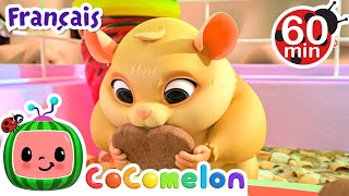 Jelly Bean le hamster  CoComelonFrancais  Dessin Animé [upl. by Allene430]