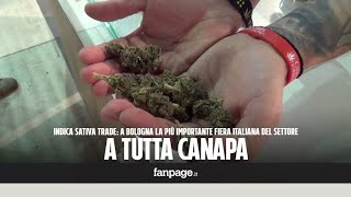 Dentro la più grande fiera sulla cannabis tutto a base di canapa anche le crocchette per cani [upl. by Annerahs643]