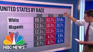 Census Data Release Tees Up Congressional Redistricting Battles Shows US Growing More Diverse [upl. by Minnaminnie805]