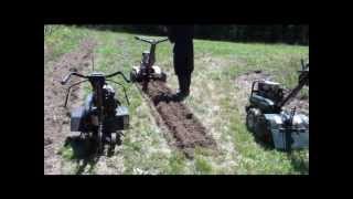 beats all conventional tillers in performance 1CR lawn [upl. by Ahtekahs]