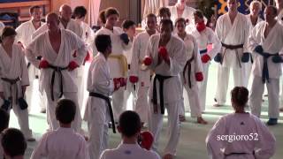 Christophe PINNAKumite Seminar2011part 1 of 4 HD [upl. by Sidky]