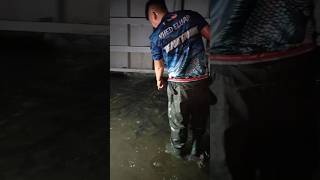 Amazing Skills To Cacth Many Fish 😱 [upl. by Sherm132]