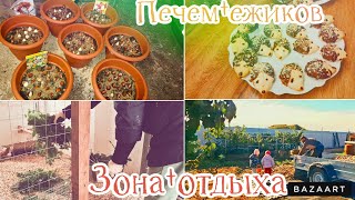 Осенние посадки🌷Домашнее печенье🥨🦔Обустраиваем зону отдыха🧡Мотивация для хозяюшек🧡 [upl. by Hamitaf]