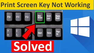 How to solve Print Screen Not Working in Windows 1011 [upl. by Osric]