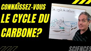 Connaissezvous le cycle du carbone Un équilibre important [upl. by Evyn870]