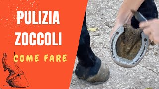 🐴 COME PULIRE GLI ZOCCOLI DI UN CAVALLO  SEGRETI DELLEQUITAZIONE [upl. by Suchta]